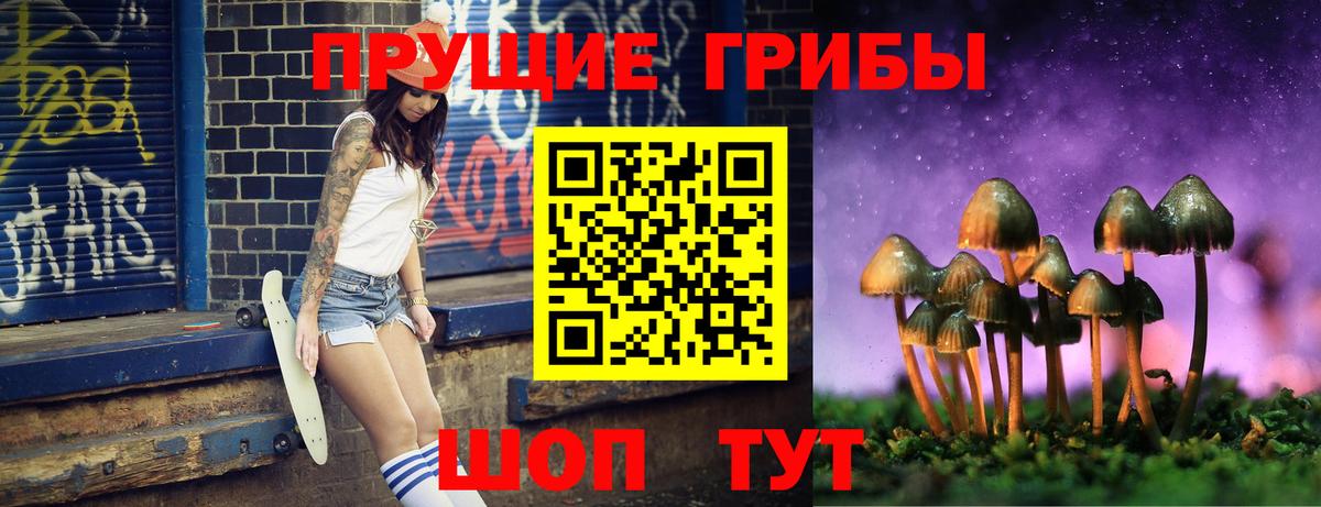 Псилоцибиновые грибы Psilocybe  где купить наркоту  Первоуральск  Вход с VPN 