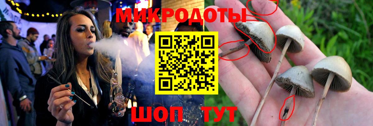 Галлюциногенные грибы MAGIC MUSHROOMS Первоуральск